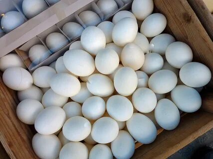 К чему снится много куриных яиц