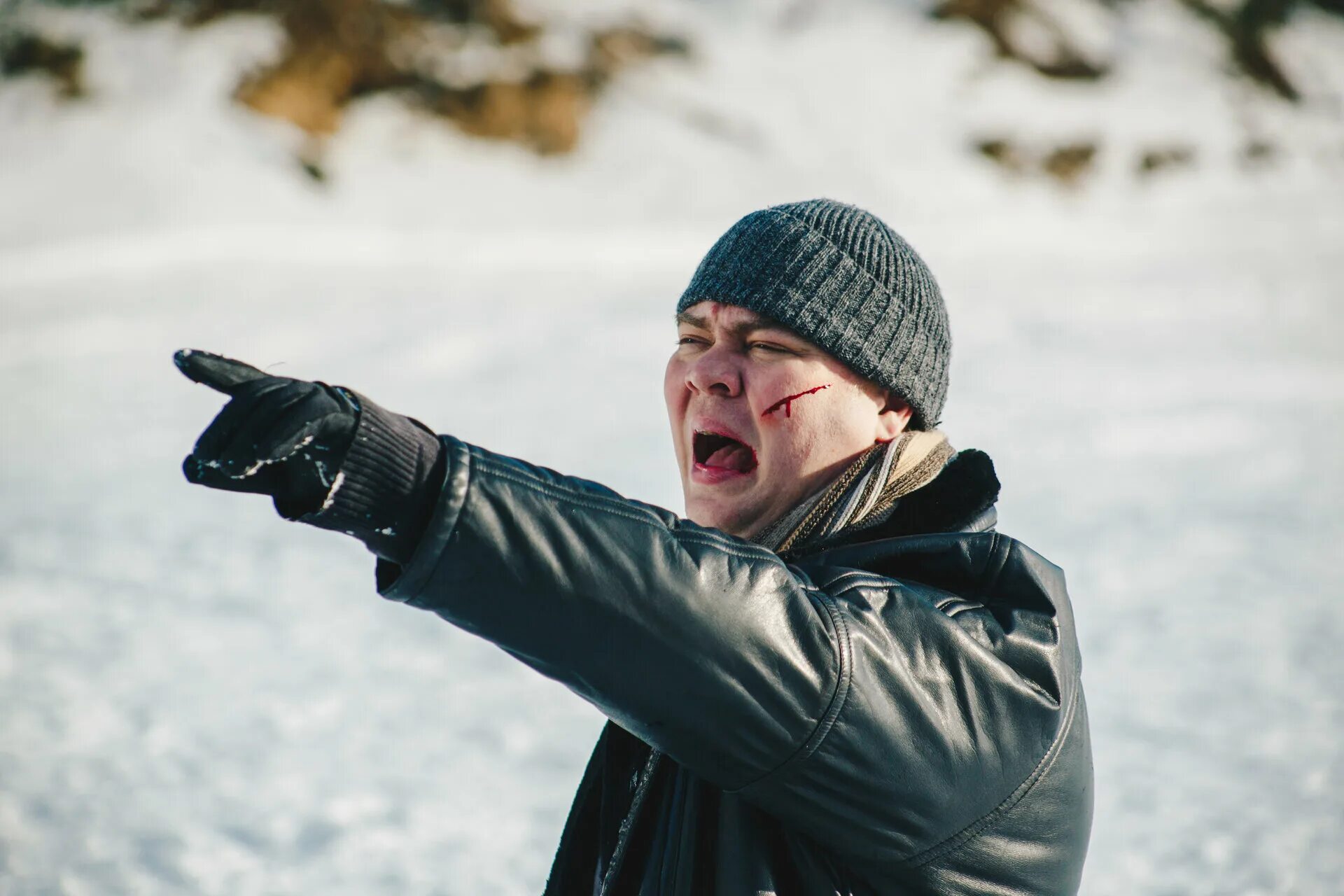 Собаки для квартиры и детей. Трое в лифте не считая собаки книга. Троя в лифте и собака. Трое в лифте, не считая собаки. Троя в лифте и собака.