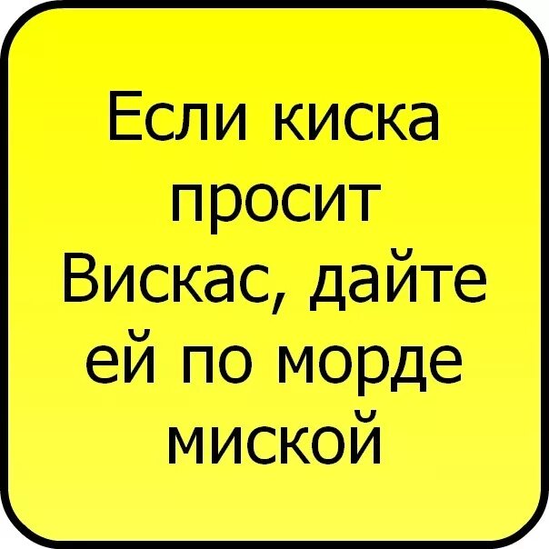 Смешные статусы в ВК. Прикольные статусы в ВК. Смешные статутсы для ве. Классные статусы в ВК. Что можно статус вк