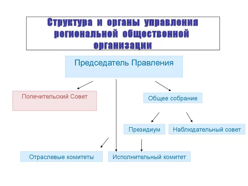 Управление социальными движениями. Структура общественной организации схема. Органы управления общественной организации. Организационная структура общественной организации. Орган управления юридического лица общественные организации.