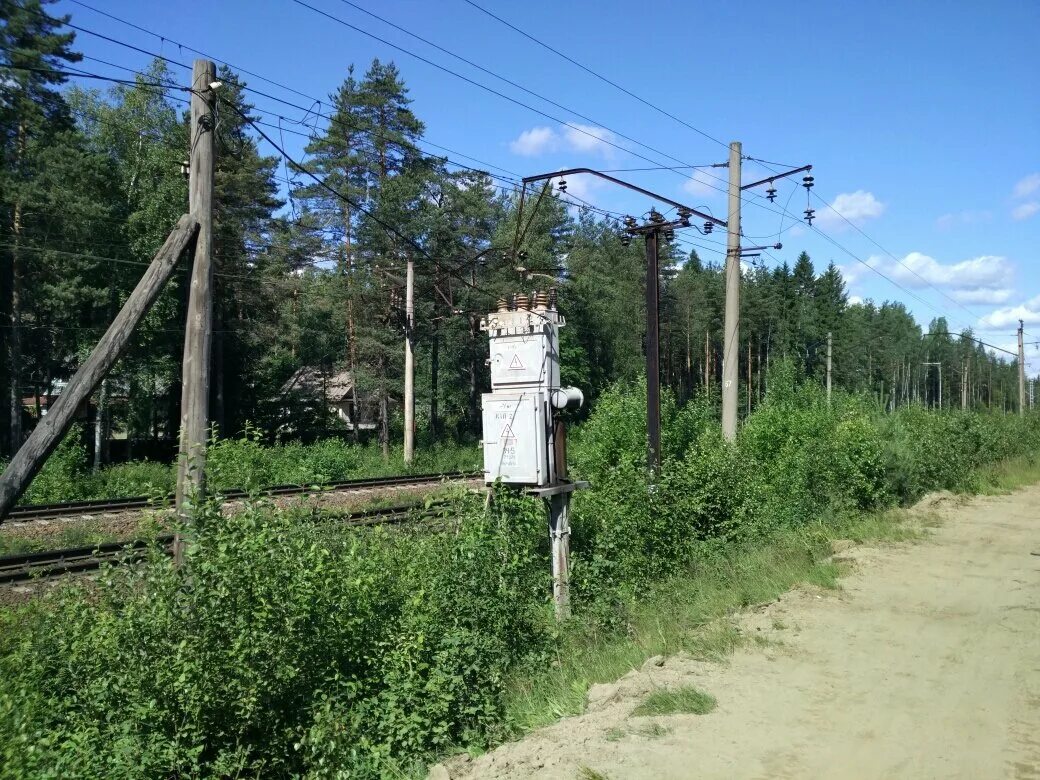 Погода ленинградской обл кировский район. Деревня Грузино Ленинградской области. СНТ Грузино 4. П. Грузино Ленинградской области фото. Грузино парк 239 участок.