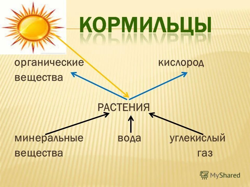 кислород органическое или неорганическое вещество. минеральные вещества кислород углекислый. вода углекислый газ минеральные вещества в клетке. фотосинтез дерева. фотосинтез рисунок.