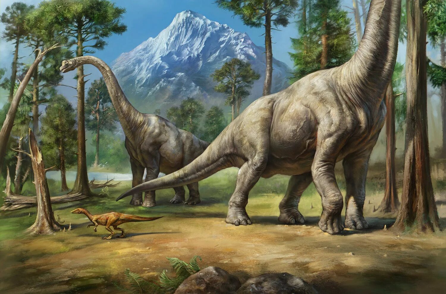 Длинношеий динозавр. Травоядные динозавры Брахиозавр. Брахиозавр динозавры Юрского периода. Юрский период Брахиозавр. Брахиозавр динозавр Диплодок.
