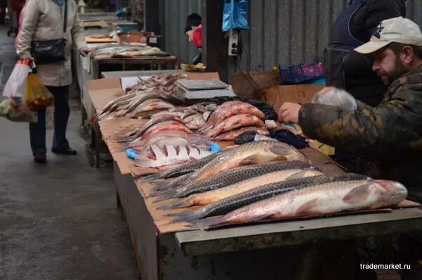 Рынок живая рыба. Рыба на рынке. Рыбный прилавок. Живая рыба на рынке. Рыбные ряды.
