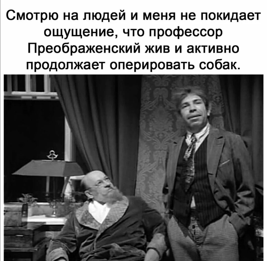 Ощущение что это уже было. Профессор Преображенский продолжает оперировать собак. Шариков цитаты. Шариков из собачьего сердца фразы. Профессор Преображенский Собачье сердце.