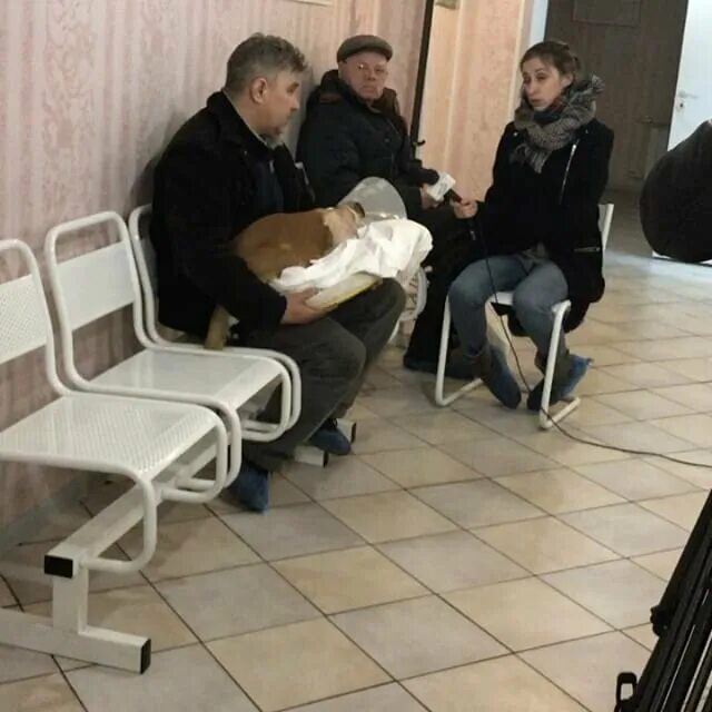 Ветеринарная клиника ворошилова 133/16. Ветеринарные клиники серпуховская. Ветеринарные клиники серпуховская. Ветеринарный госпиталь подольск. Владимир ветеринар серпухов.