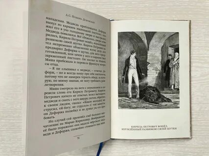 Дубровский пушкин сюжет кратко для читательского дневника