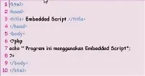 Embedding script