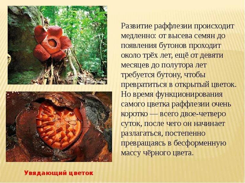 Что происходит медленнее всего