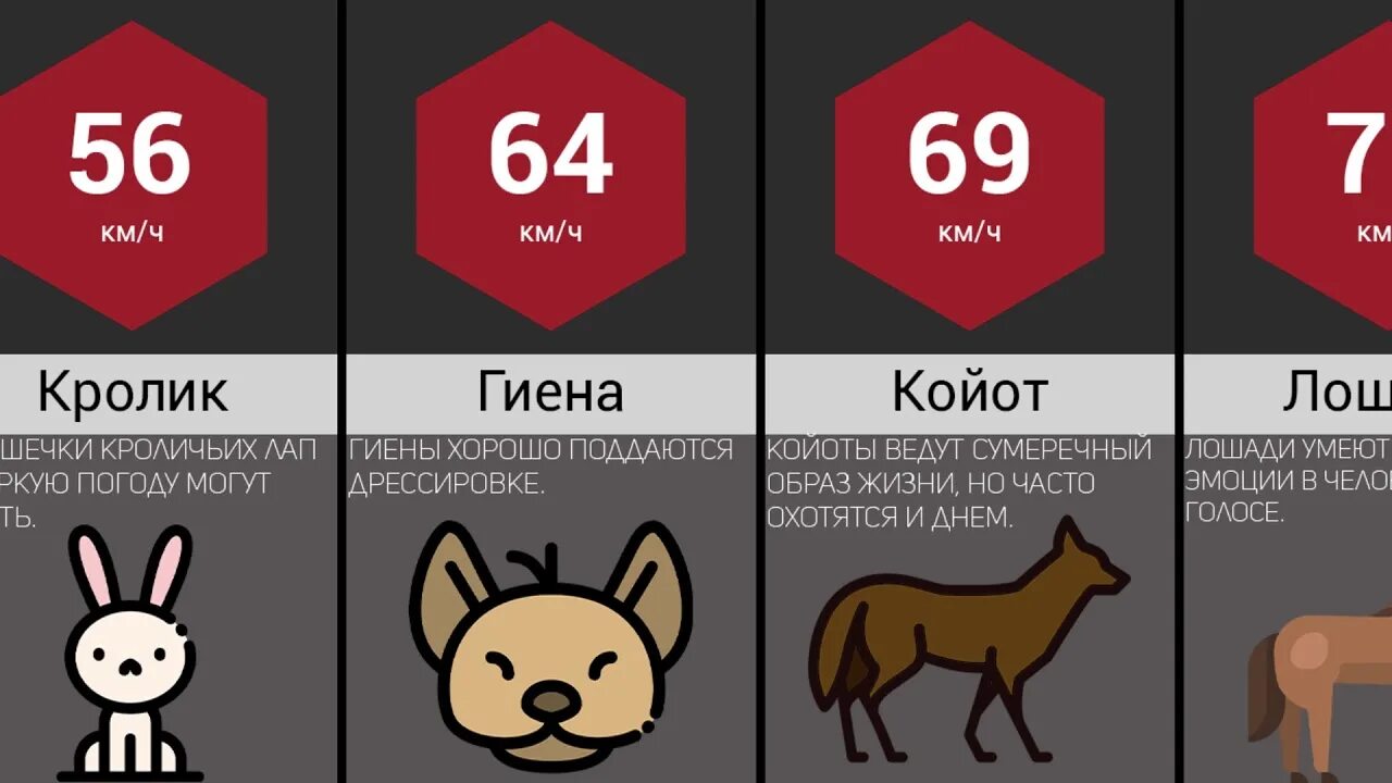 Скорость разных животных. Скорость животных. скорости животных таблица. самые быстрые животные сравнение. рейтинг скорости животных.