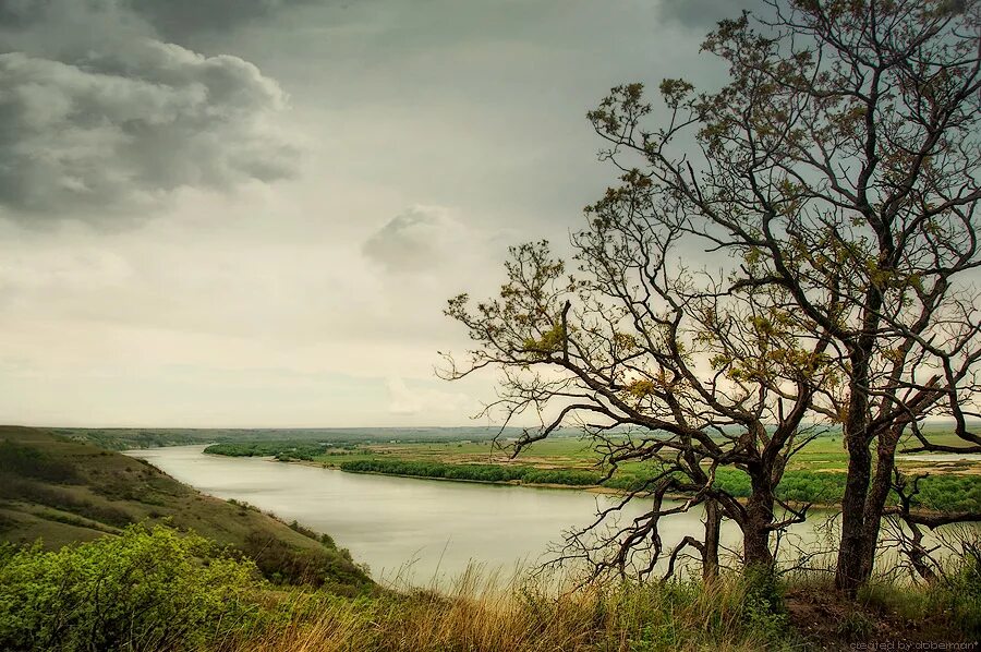Шолохов пейзаж. Картины дона реки. Шолохов пейзаж. Донские пейзажи бориса щербакова. Тула река дон.