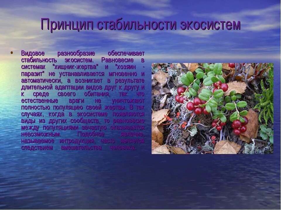 Влияние деятельности человека на экосистему