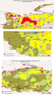 Грозовая карта
