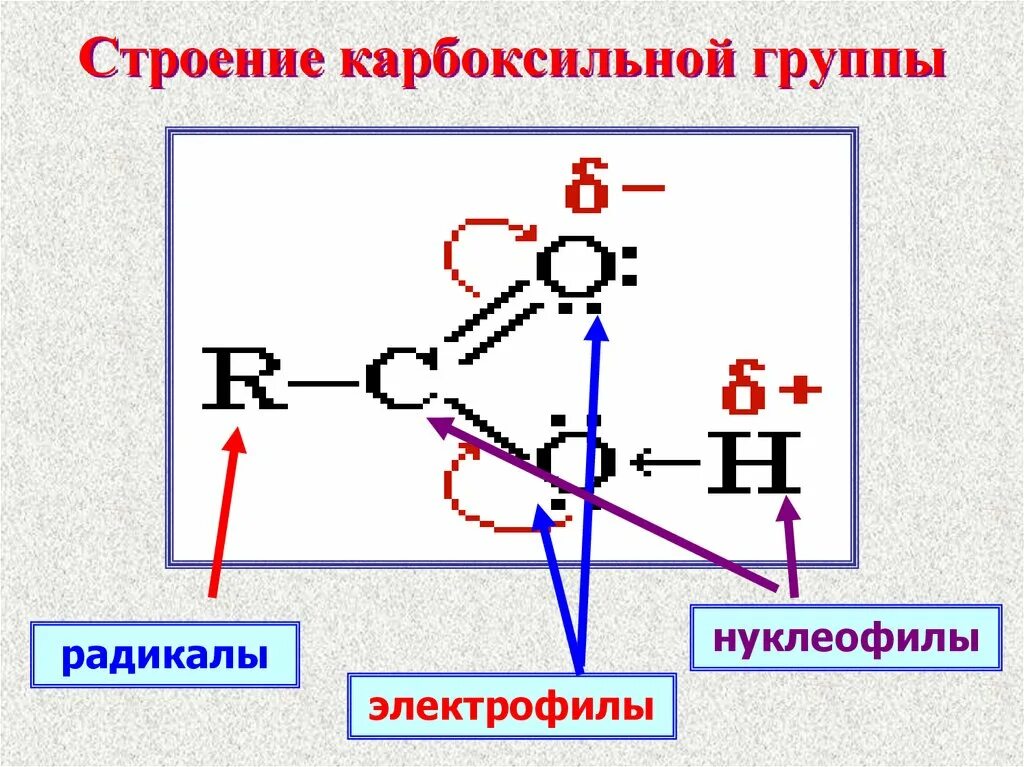 Строение карбоксильной группы. Электронное строение карбоксильной группы. Нуклеофил и электрофил. Приведите электронное строение карбоксильной группы. Общая формула карбоксильной группы