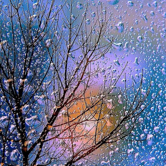 Летний дождь. Красивая ветка. Spring rain. Лес с каплями. Капли росы на цветах.