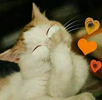 Милая я так не смогу