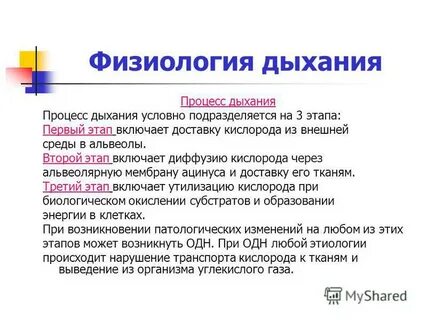 Дыхание физиология