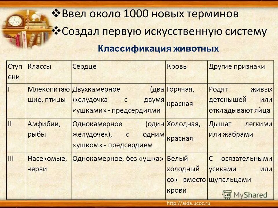 Информационная среда. Изучить материал. Понятие техники и технологии. Специфика медицинских терминов. Техника это определение.