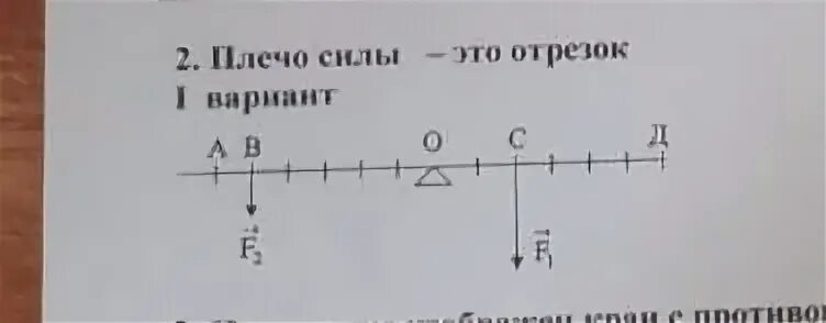 Сравните силы f1 и f2
