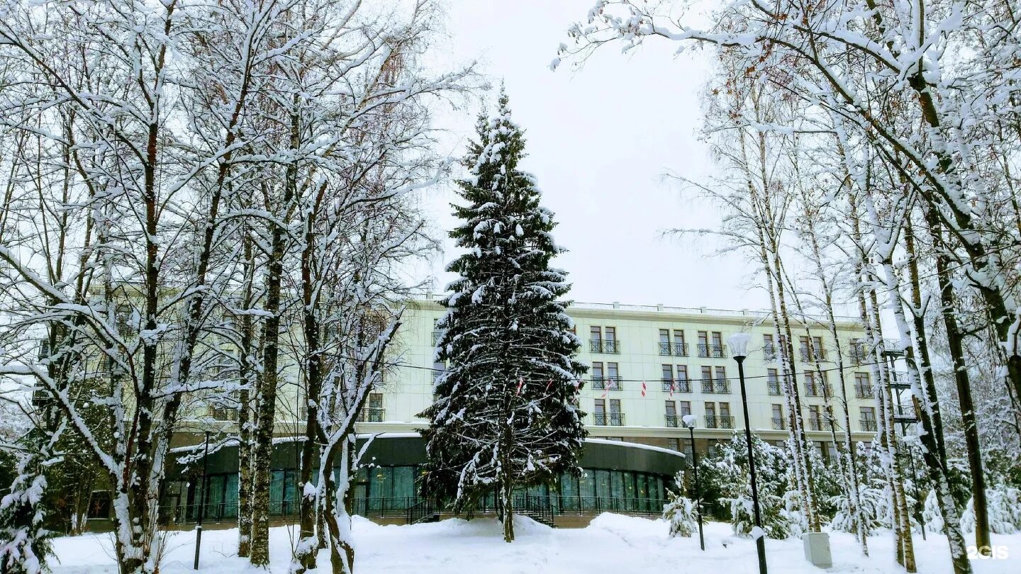 Софрино тайнинская. Софрино парк подмосковье. отель софрино софрино парк. софрино парк тулип. софрино парк отель территория.