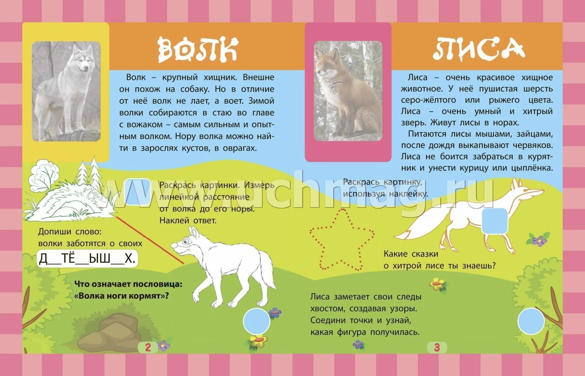 Фгос животным. Хищники. сборник развивающих заданий с наклейками: загадки, пословицы, скороговорки. 40 интерактивных заданий. интересные факты о животных. фгос. морские жители. сборник развивающих заданий с наклейками: загадки, пословицы, скороговорки. 40 интерактивных заданий. интересные факты. насекомые. сборник развивающих заданий с наклейками: загадки, пословицы, скороговорки. 40 интерактивных заданий. интересные факты о насекомых. допиши словечко волк воет, а лиса.