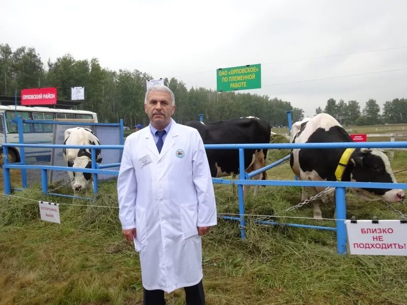 Выставка племенных животных. Сайт по племенной работе. Сайт по племенной работе. Чувашское по племенной работе. Удмуртплем официальный сайт.