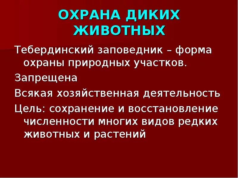 Почему важно уделять внимание охране диких животных. Меры по охране животных. Меры по охране диких животных. Организация охраны животных. Цель охраны диких животных.