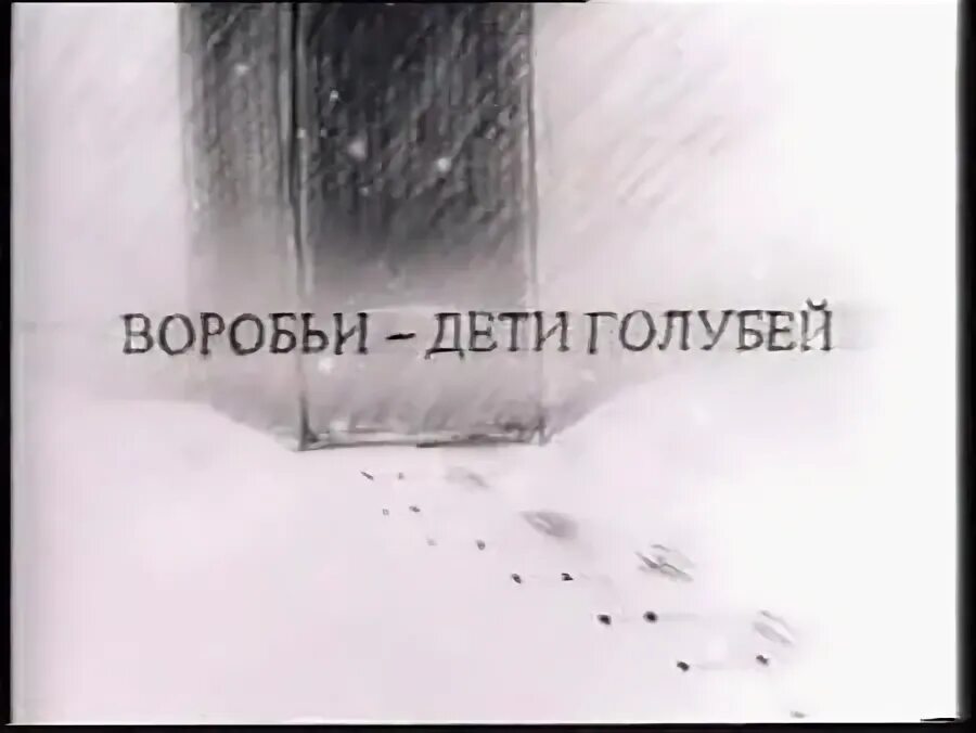 Воробьи дети голубей
