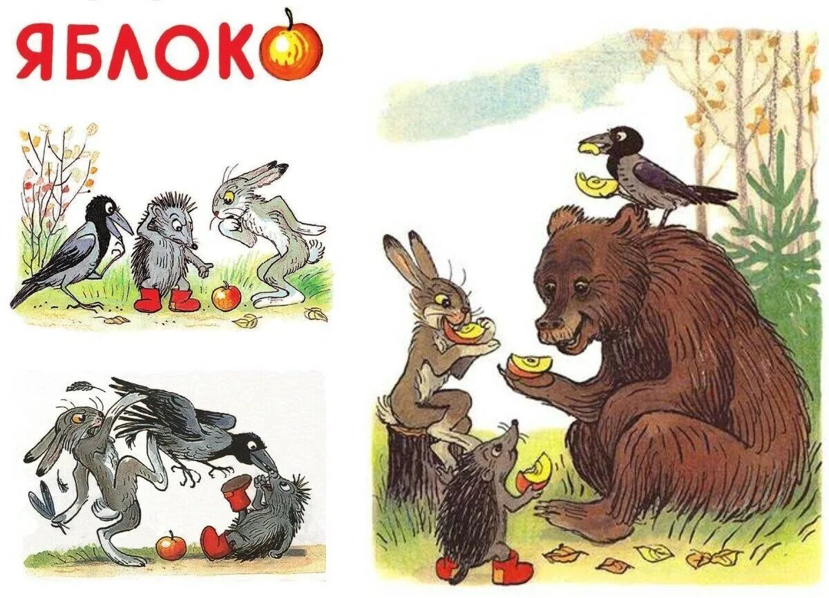 Учит сутеев. Сутеев яблоко. сказка сутеева яблоко. сутеев яблоко медведь. иллюстрации к сказке сутеева яблоко.