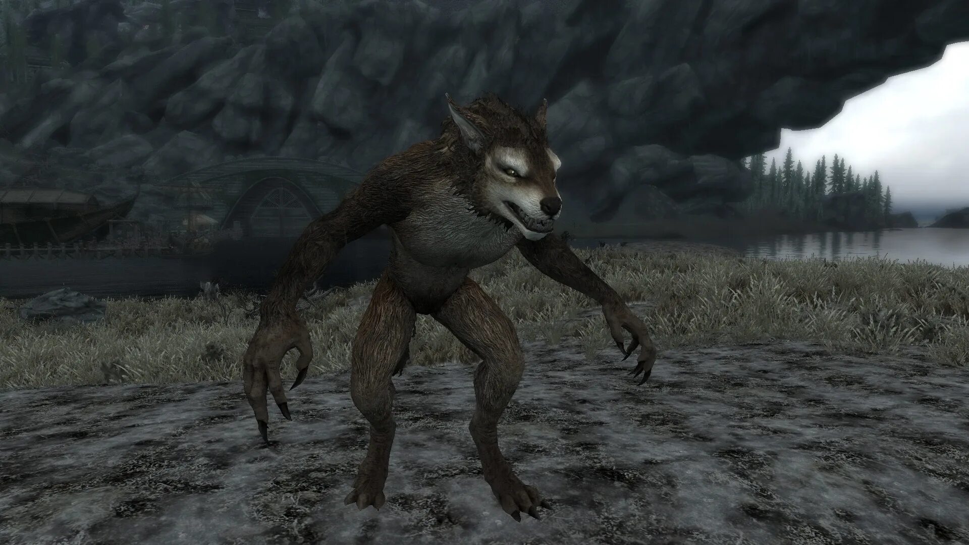 Ретекстур вервольфа скайрим. Skyrim special edition вервольф. Медведь оборотень 3д модель. Мод вервольф. Вервольф скайрим женщина.