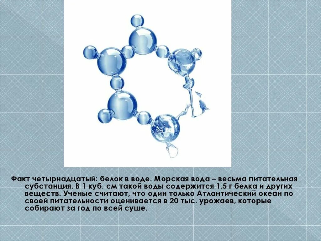 Белки связывают воду