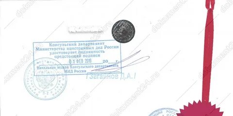 Подлинность подтверждаю