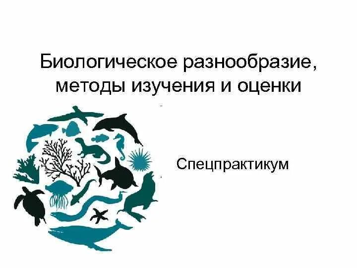 Биологическое разнообразие. Изучение биоразнообразия. Принцип биологического разнообразия. Оценка биологического разнообразия. Биоразнообразие в экосистеме