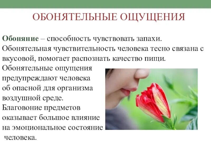 Сколько восстанавливается обоняние