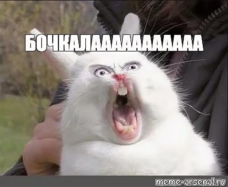 When i see smile
