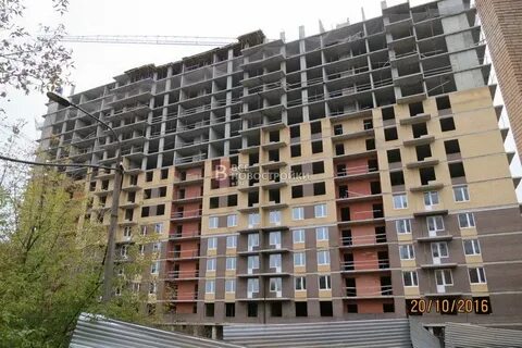 Жк родники