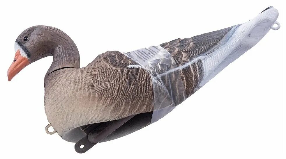 Чучело гуся таксидермия. Чучела белолобого гуся. Чучела гусей белолобый. Чучело гуся белолобого скорлупками. Чучела гусей north way.