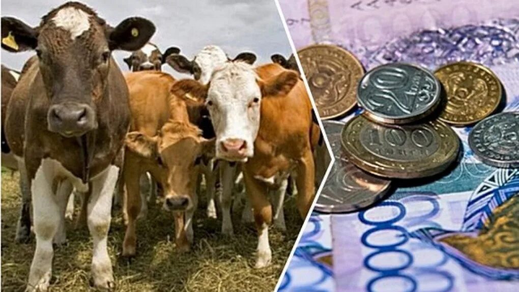 Сельское хозяйство агроном. Сельское хозяйство. Кредитование агропромышленного комплекса. Субсидия минсельхоз. Зерно и деньги.