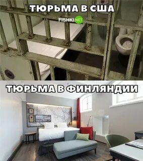 Северный соседка