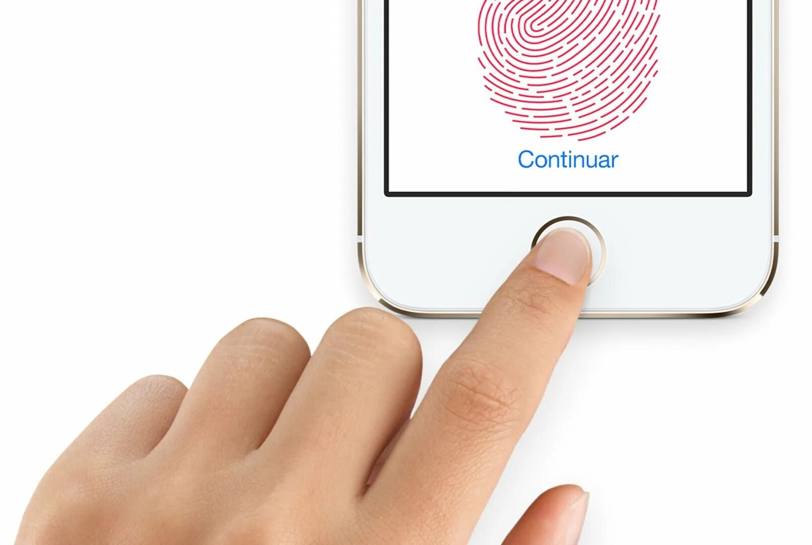 Iphone 6s Touch ID. Датчик отпечатка пальца. Аутентификация по отпечаткам пальцев. Iphone 5s отпечаток пальца есть. Палец на айфон 13