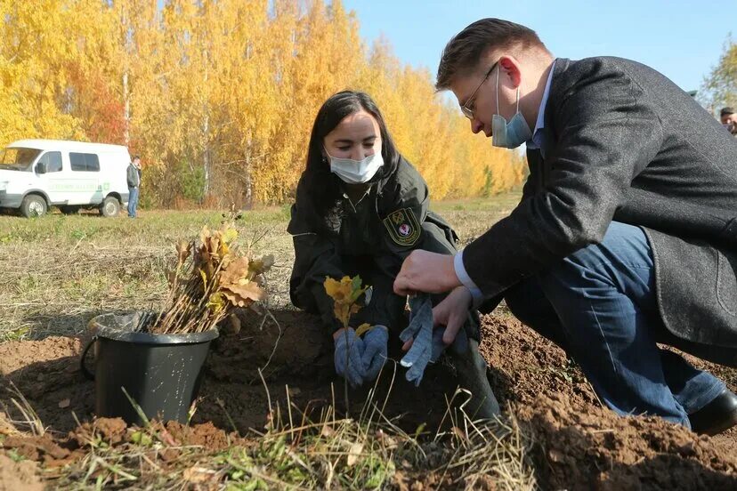 Ижевск пересадка. Удмуртский ботанический сад ижевск. ижевское сажают дубы. посади лес ижевск. удмуртский ботанический сад гольянский тракт.