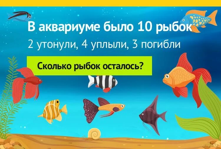 Рыбы в аквариуме мем. Загадки про аквариумных рыбок для детей. Загадка в аквариуме 10 рыбок 2 утонули 4 уплыли 3 погибли. В аквариуме 10 рыбок 2 утонули. Головоломка про рыбок в аквариуме.