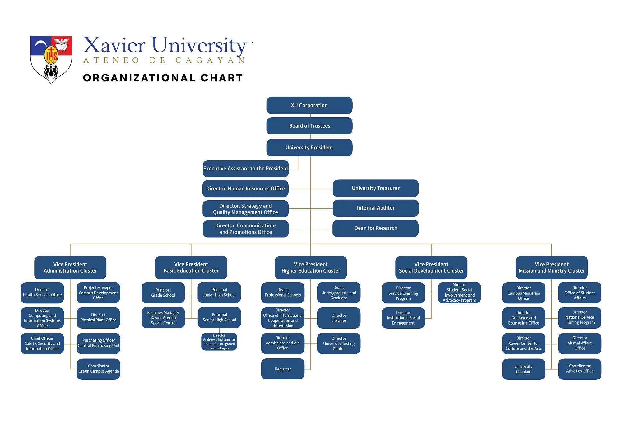 Structure of the university. Structure of the university