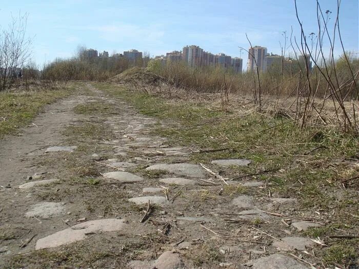 старые дороги в лесу. старая дорога 5. скальный участок старого краснополянского шоссе. старая дорога 5. поселковый совет парголово 2 1949 года.