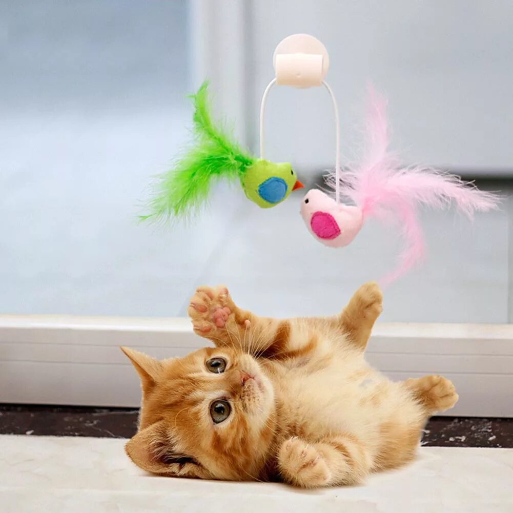 Кот играет с игрушкой. Игрушка «котенок». игривый котенок. игра про кота. игрушка для кошки.