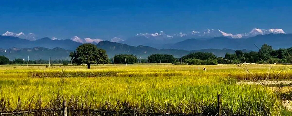 Муннар керала. Тераи непал. Город тэраи. Тераи гималаи. Тераи непал.