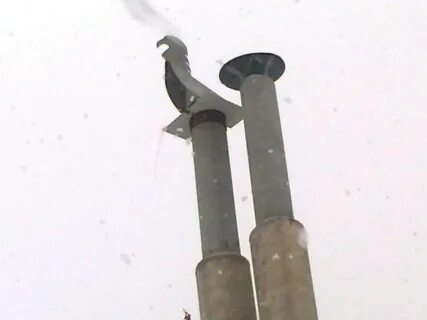 Задувает котел ветром