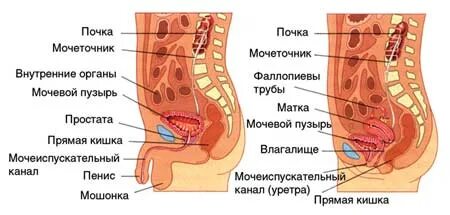 Анамның трусики порно комикстері