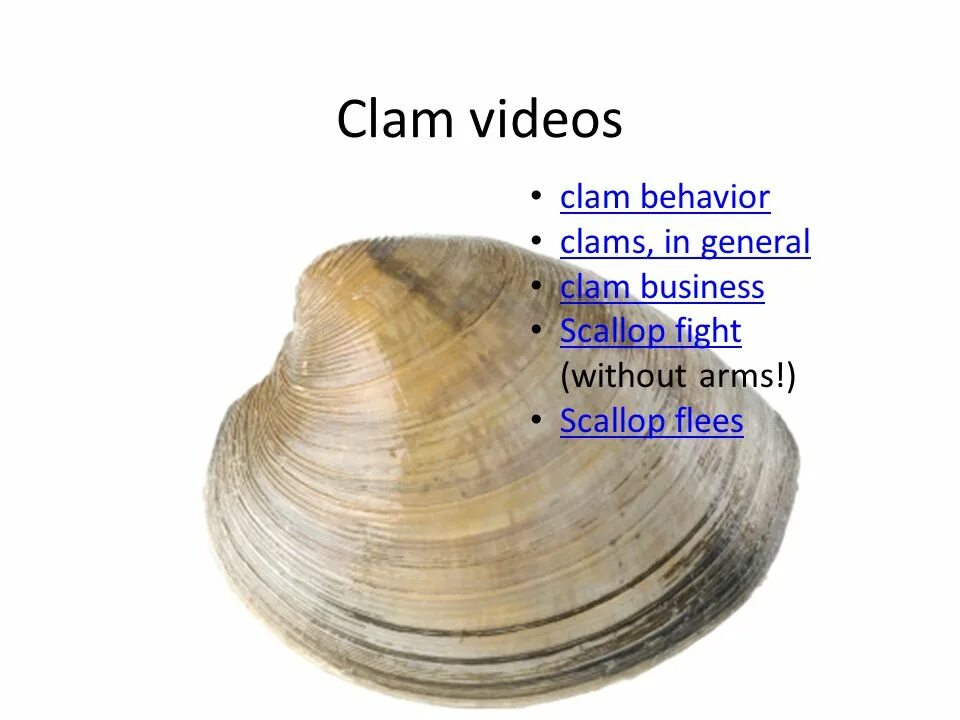 Clam cat. Clam перевод. шкала catclams. razor clams перевод. c is for clam.