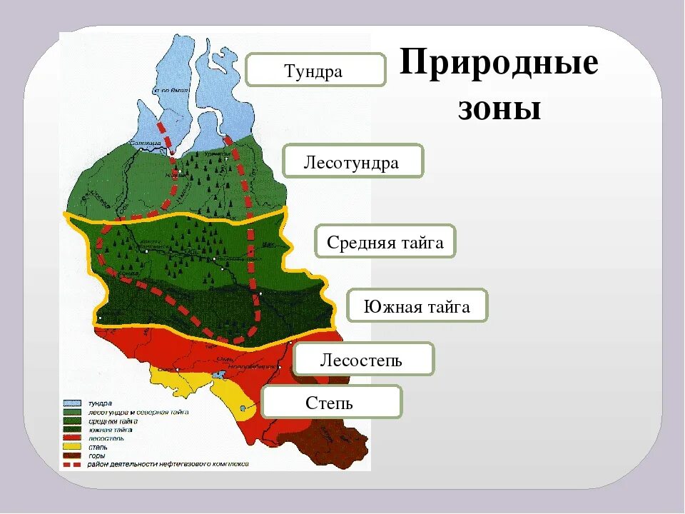 Природные зоны Западно сибирской равнины. Природные зоны Западно сибирской равнины на карте. Кластер природные зоны Западно-сибирской равнины. Природные зоны Западной Сибири контурная карта.